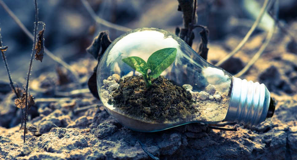 ai4manufacturing|research and standardization earth and plant in a light bulb